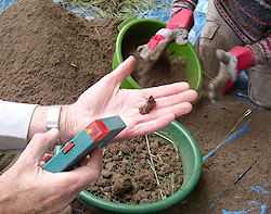 Metal objects being picked up amonst the 'waste'