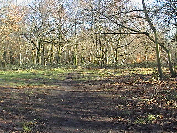 Looking east along the narrow unmade path from Lyford Road