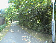 Looking along the path at the north of the site